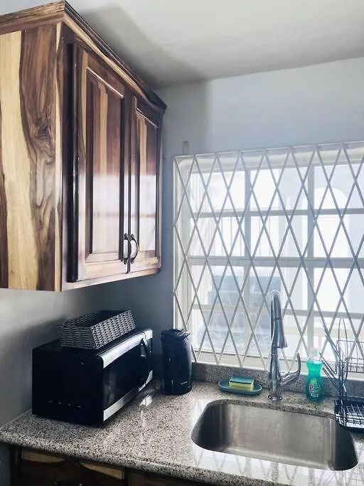 Blue Laventura Condo Near Hwt 金斯敦